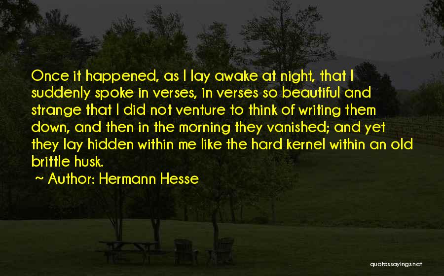 Awake In The Night Quotes By Hermann Hesse