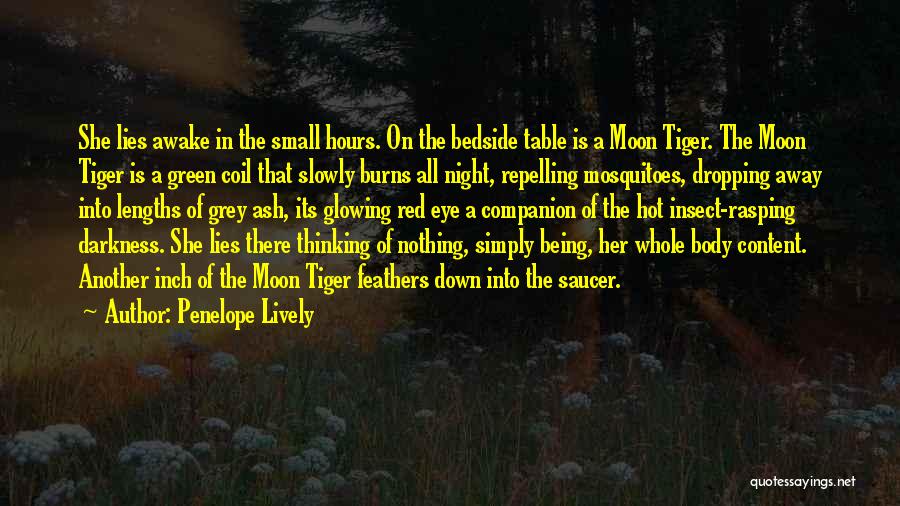 Awake In The Night Quotes By Penelope Lively
