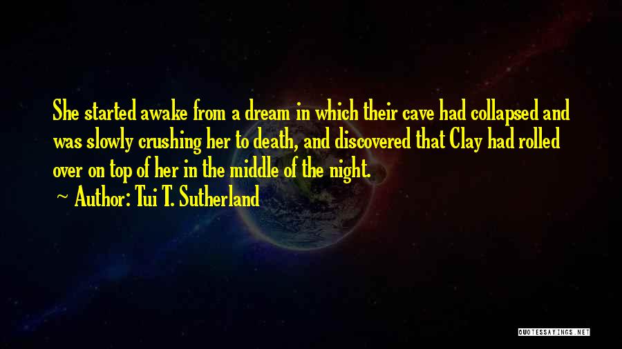 Awake In The Night Quotes By Tui T. Sutherland