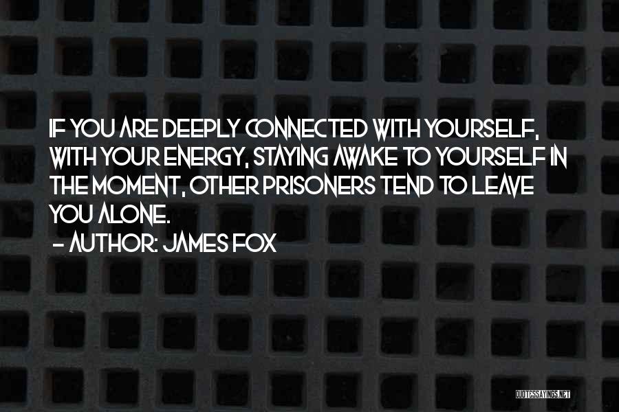 Awake Moment Quotes By James Fox