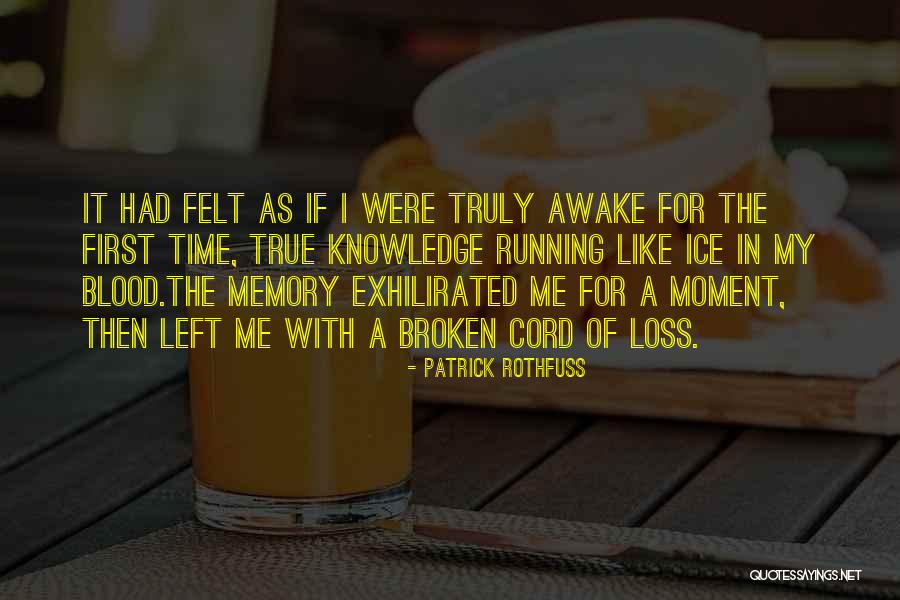 Awake Moment Quotes By Patrick Rothfuss