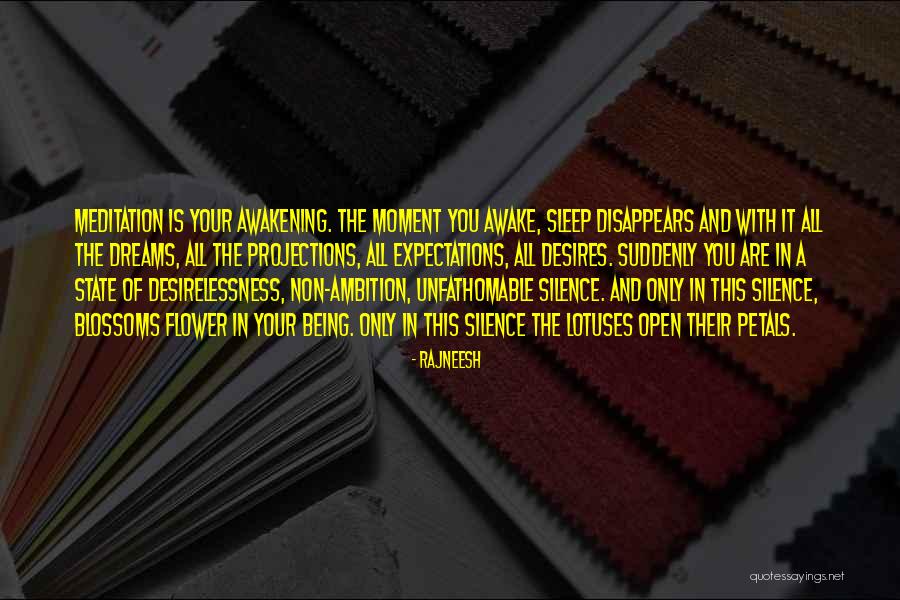 Awake Moment Quotes By Rajneesh Awake Moment Quotes By Rajneesh