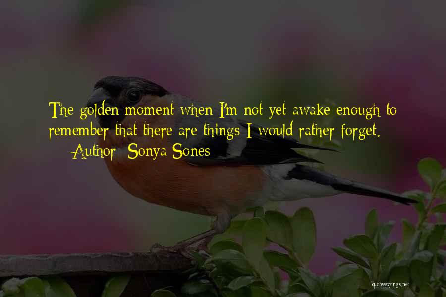Awake Moment Quotes By Sonya Sones