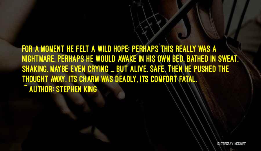Awake Moment Quotes By Stephen King