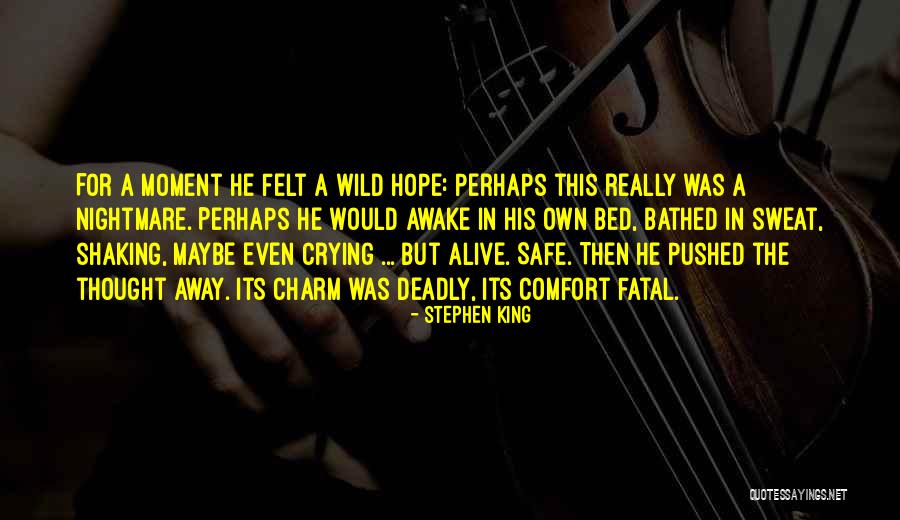 Awake Moment Quotes By Stephen King