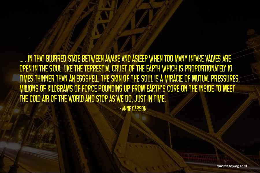 Awake Skin Quotes By Anne Carson Awake Skin Quotes By Anne Carson