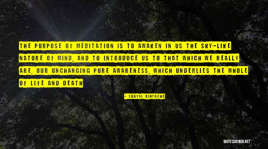 Awaken Your Mind Quotes By Sogyal Rinpoche Awaken Your Mind Quotes By Sogyal Rinpoche