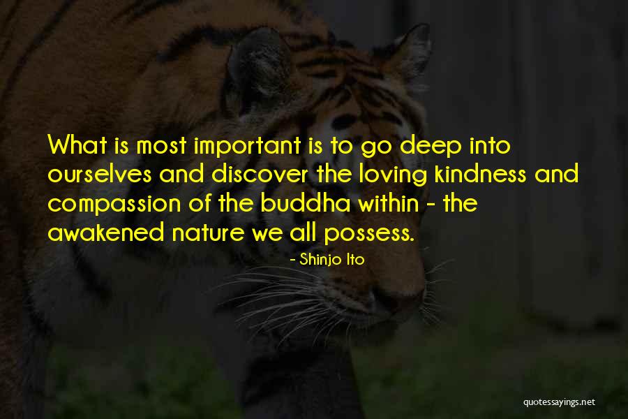 Awakened Quotes By Shinjo Ito Awakened Quotes By Shinjo Ito