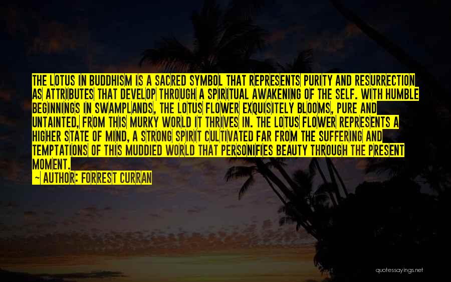 Awakening Buddhism Quotes By Forrest Curran