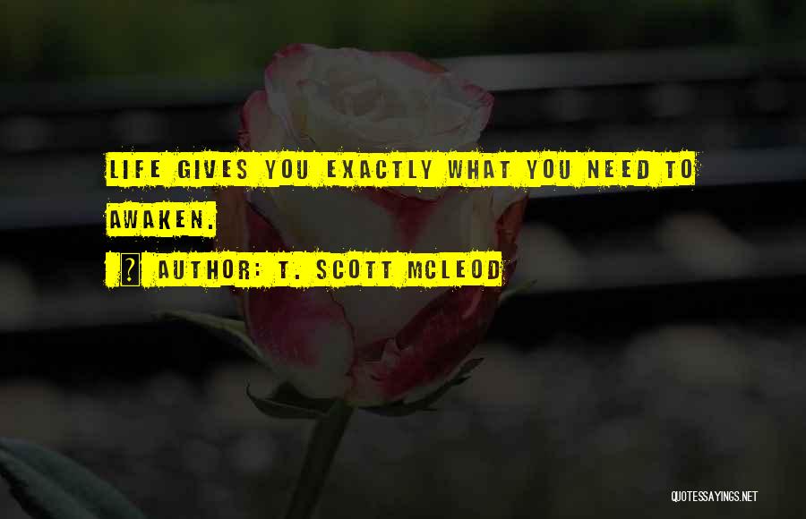 Awakening Buddhism Quotes By T. Scott McLeod