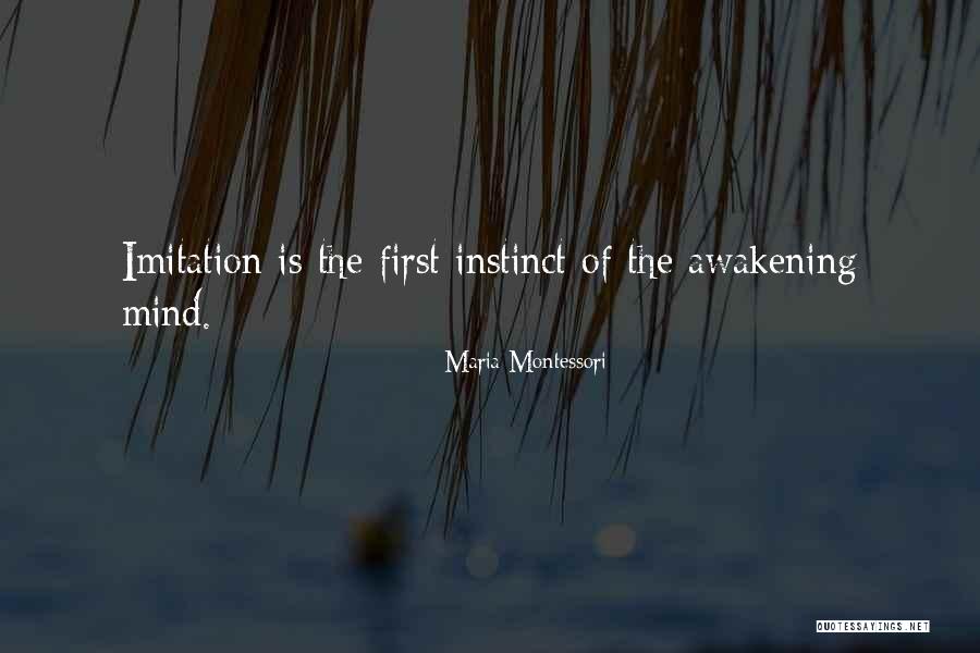 Awakening Mind Quotes By Maria Montessori