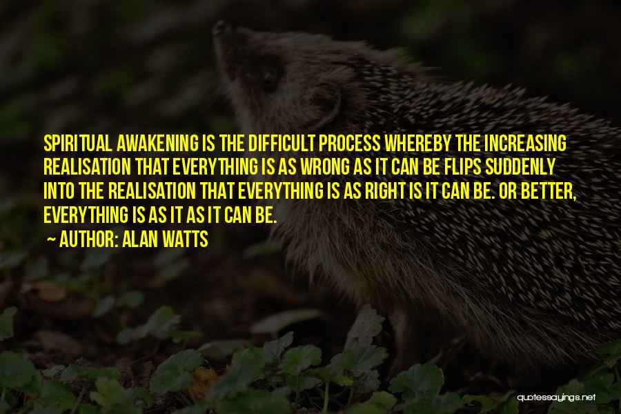 Awakening Quotes By Alan Watts