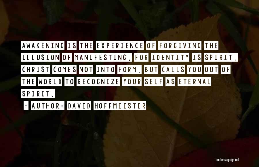 Awakening Quotes By David Hoffmeister