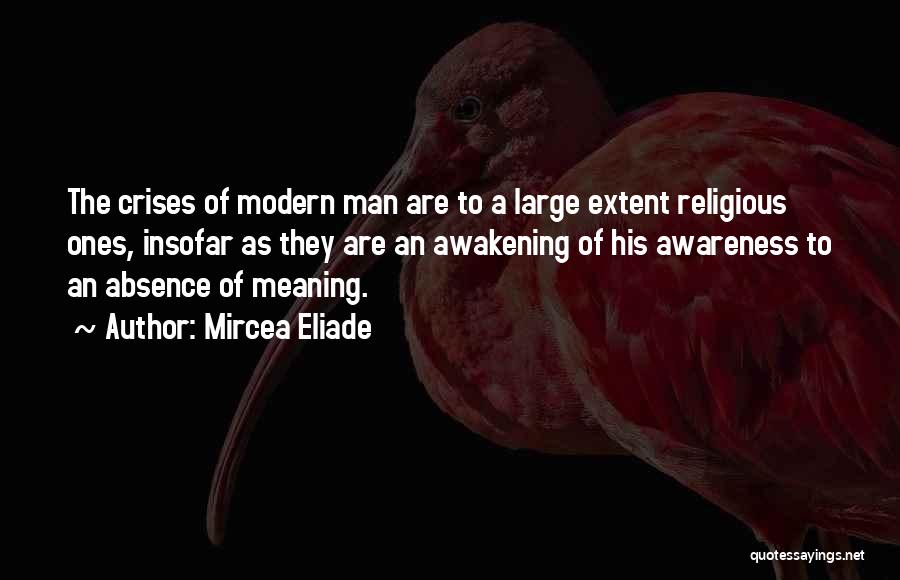 Awakening Quotes By Mircea Eliade