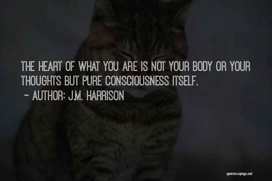 Awakening Your Soul Quotes By J.M. Harrison