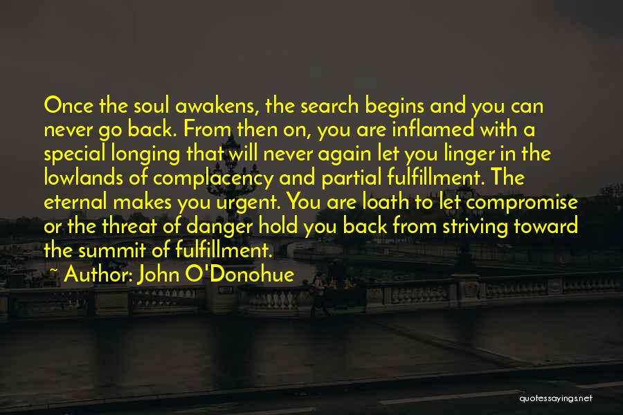 Awakening Your Soul Quotes By John O'Donohue