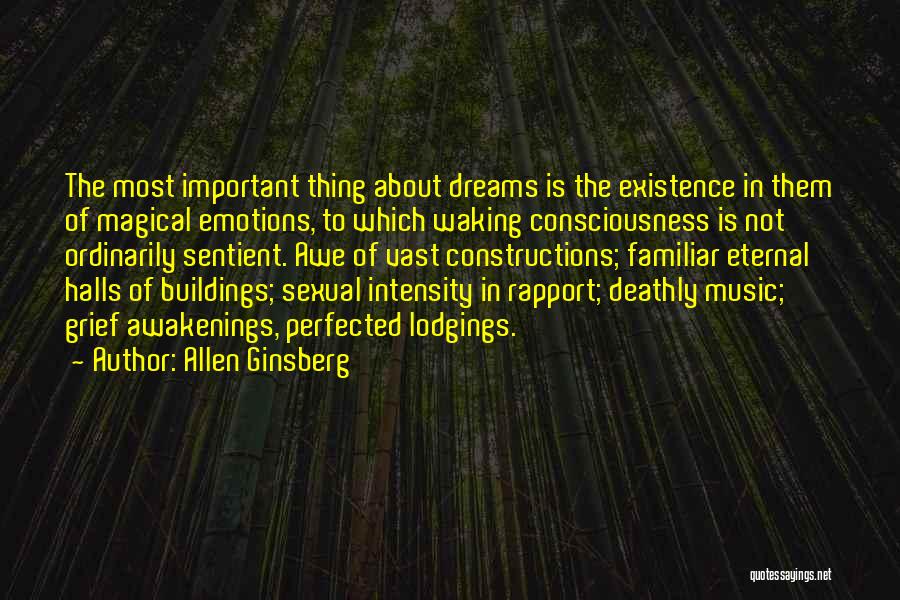 Awakenings Quotes By Allen Ginsberg