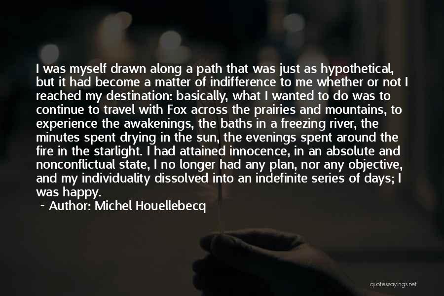 Awakenings Quotes By Michel Houellebecq