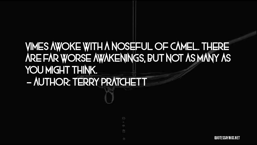 Awakenings Quotes By Terry Pratchett