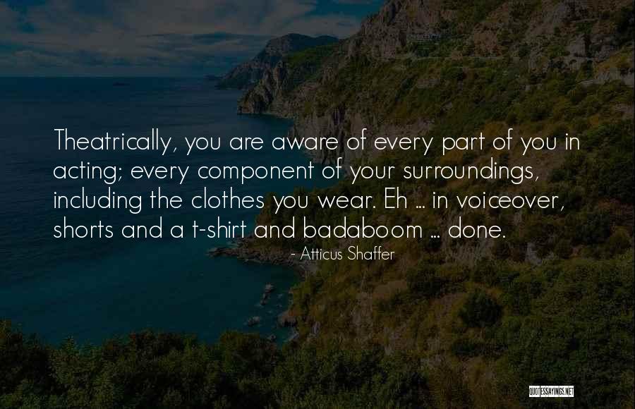 Aware Of Your Surroundings Quotes By Atticus Shaffer