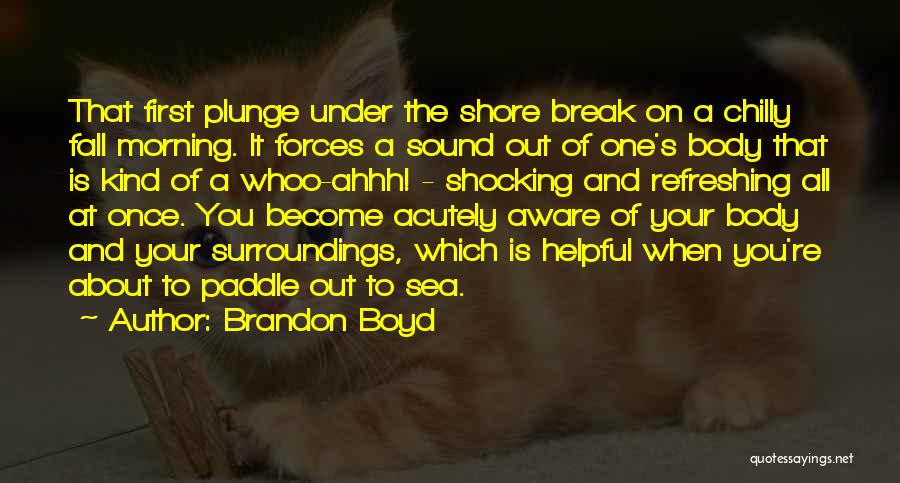 Aware Of Your Surroundings Quotes By Brandon Boyd