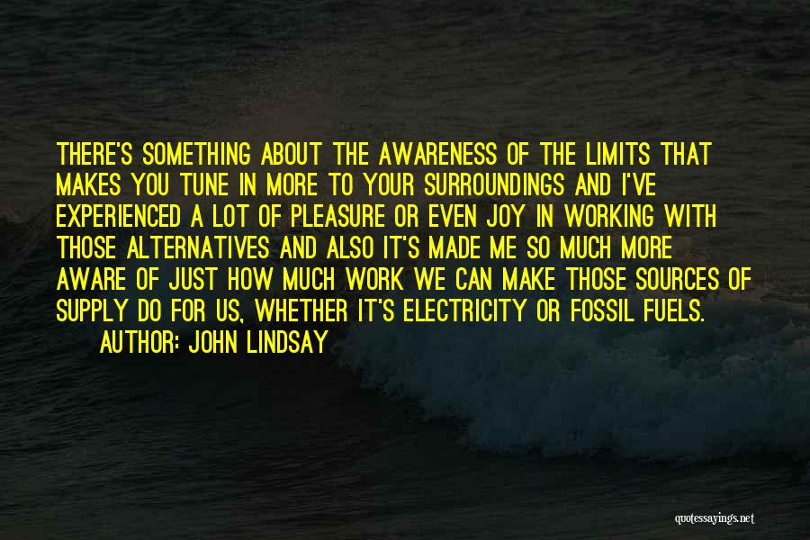 Aware Of Your Surroundings Quotes By John Lindsay