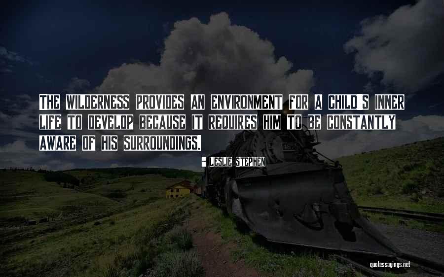Aware Of Your Surroundings Quotes By Leslie Stephen Aware Of Your Surroundings Quotes By Leslie Stephen