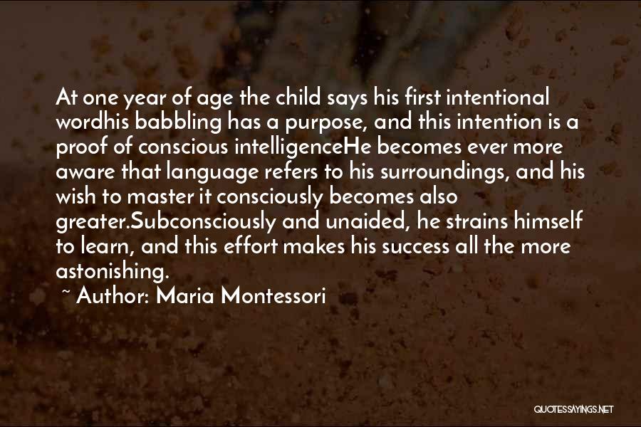 Aware Of Your Surroundings Quotes By Maria Montessori