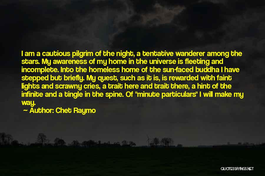 Awareness Buddha Quotes By Chet Raymo