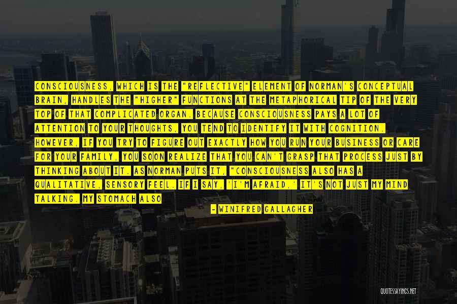 Awareness Of Focus Quotes By Winifred Gallagher Awareness Of Focus Quotes By Winifred Gallagher