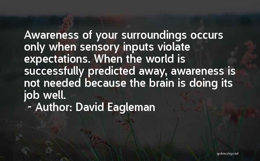 Awareness Of Surroundings Quotes By David Eagleman