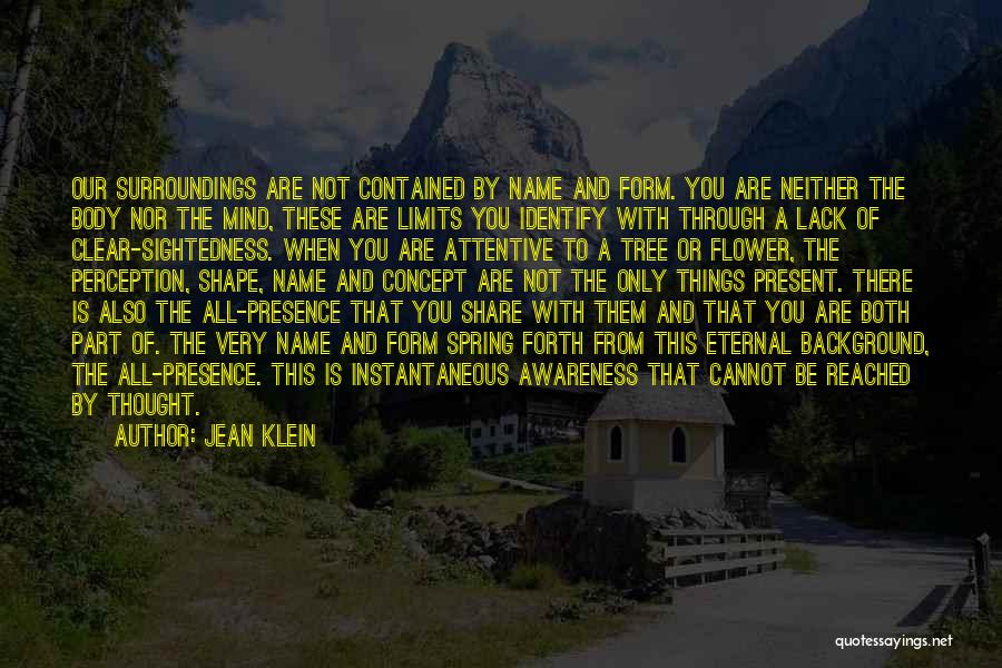 Awareness Of Surroundings Quotes By Jean Klein