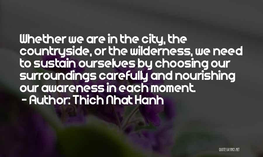 Awareness Of Surroundings Quotes By Thich Nhat Hanh