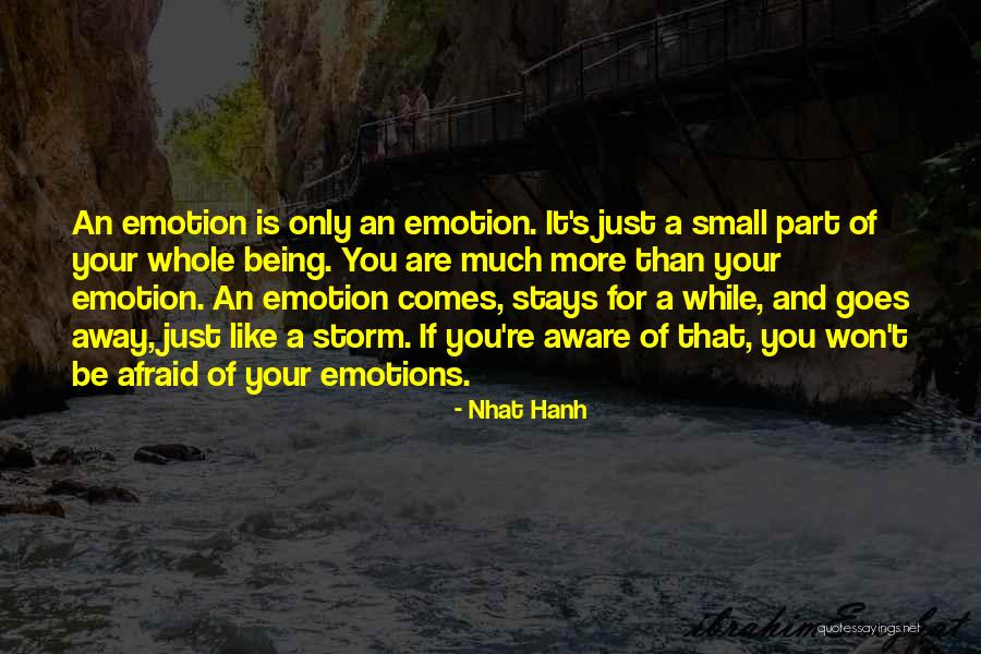 Away For A While Quotes By Nhat Hanh Away For A While Quotes By Nhat Hanh