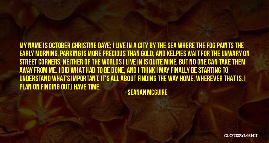 Away From The City Quotes By Seanan McGuire