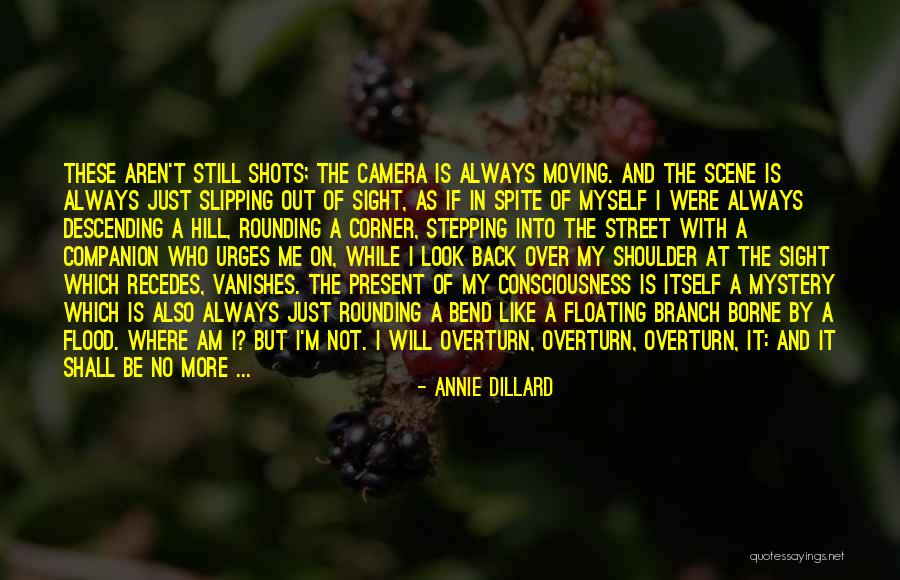 Awe Bible Quotes By Annie Dillard