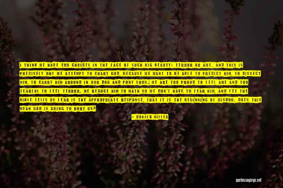Awe Bible Quotes By Donald Miller Awe Bible Quotes By Donald Miller
