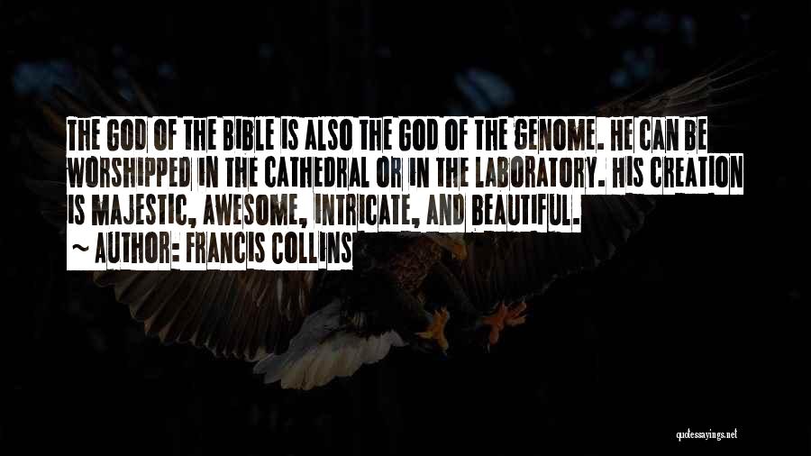 Awesome God Quotes By Francis Collins