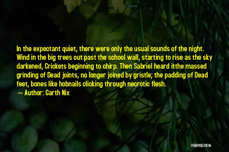 Awesome Night Out Quotes By Garth Nix