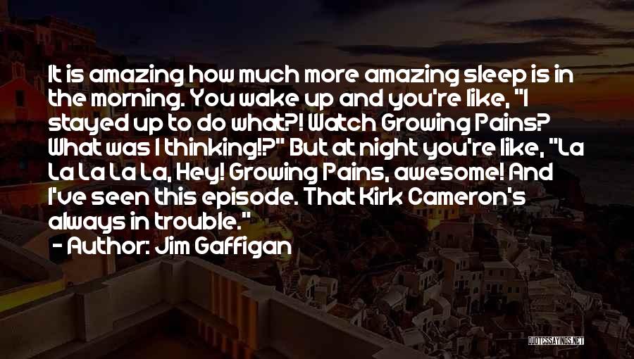 Awesome Night Out Quotes By Jim Gaffigan