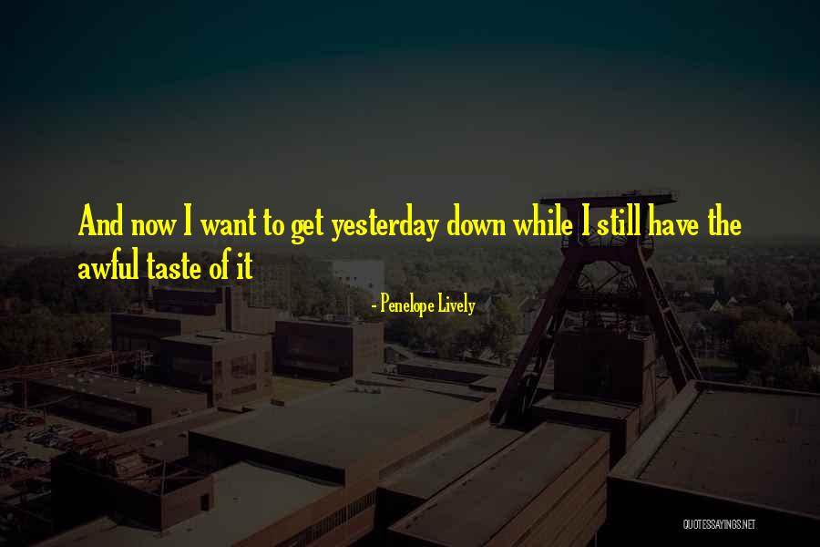 Awful Life Quotes By Penelope Lively