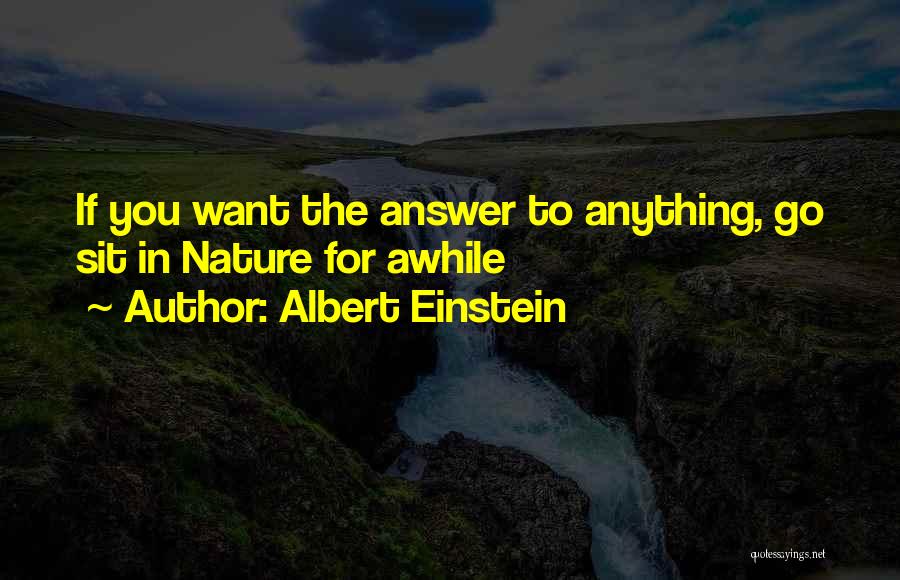 Awhile Quotes By Albert Einstein