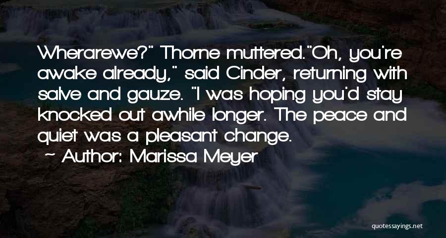 Awhile Quotes By Marissa Meyer