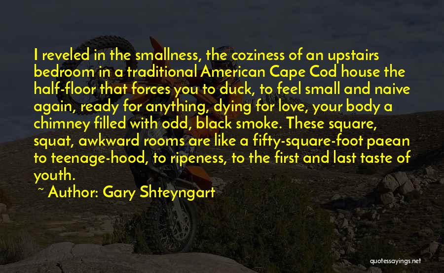 Awkward Love Quotes By Gary Shteyngart