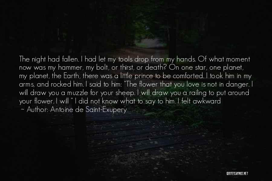Awkward Moment Love Quotes By Antoine De Saint-Exupery