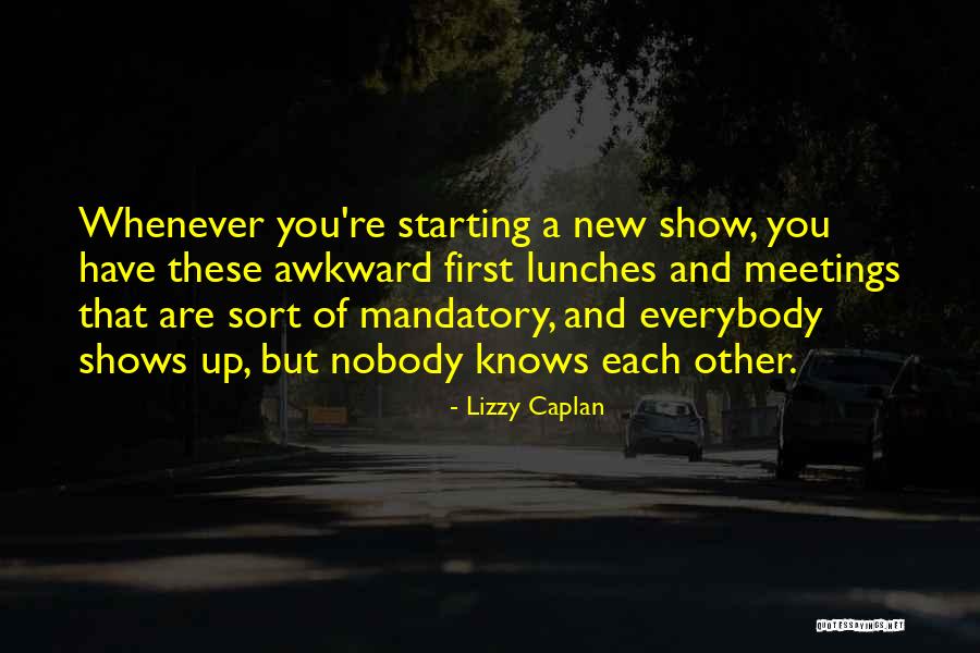 Awkward The Show Quotes By Lizzy Caplan