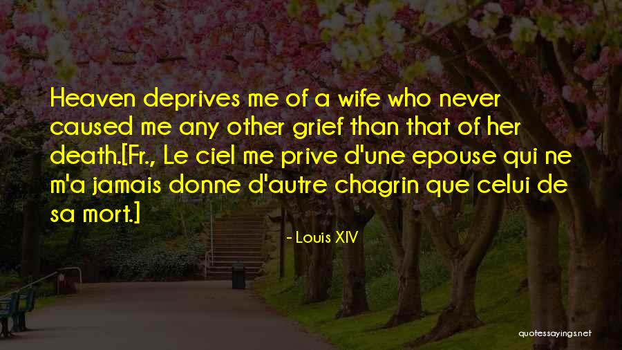 Aws Cli Quotes By Louis XIV Aws Cli Quotes By Louis XIV