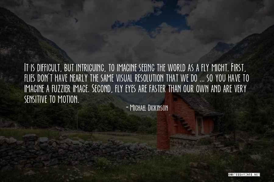 Axehead Quotes By Michael Dickinson Axehead Quotes By Michael Dickinson