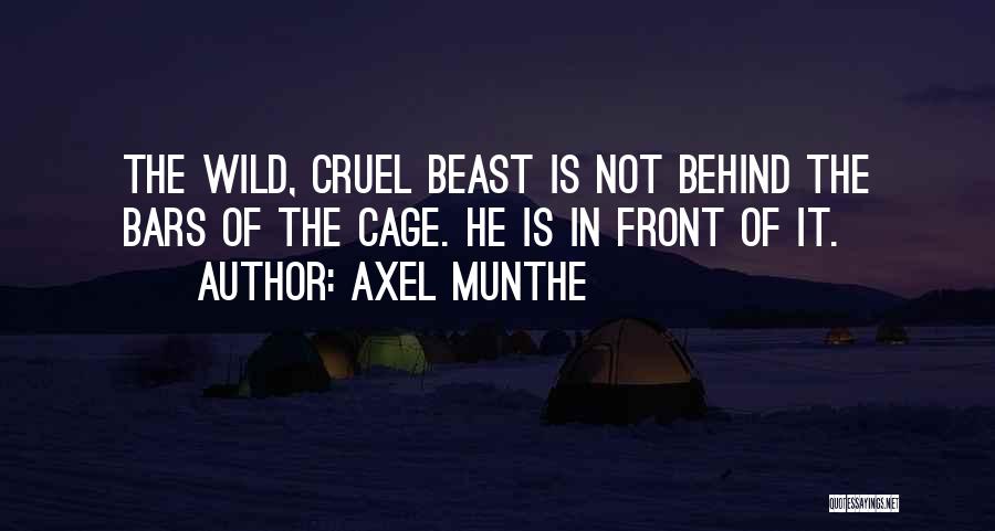 Axel Munthe Quotes 208100