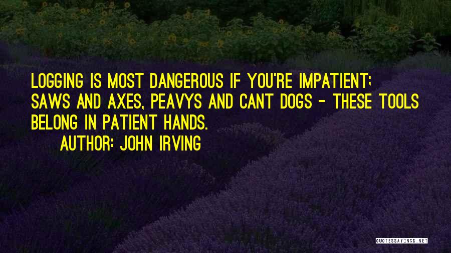 Axes Quotes By John Irving